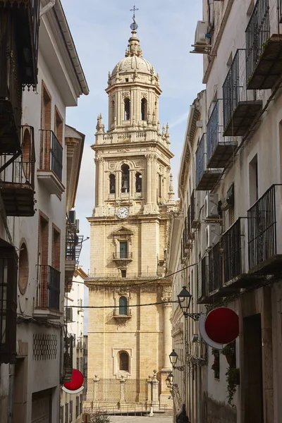 Jaen kathedraal gevel reinassence periode. Reizen in Spanje — Stockfoto