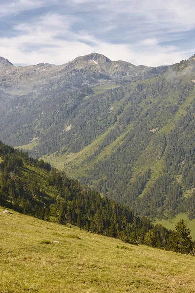 Aigues Tortes National Park Forest landscape. Spanje — Stockfoto