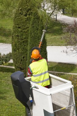 Donanımlı işçisi budama ağaca bir vinç. Bahçe
