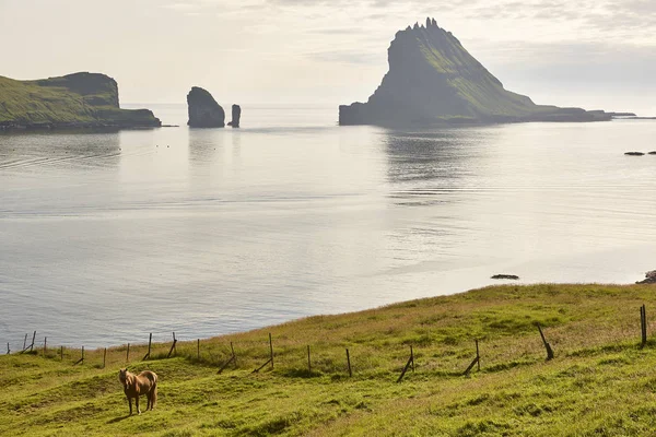 Faeröer kustlijn landschap klifrand in Vagar. Sorvagsfj — Stockfoto