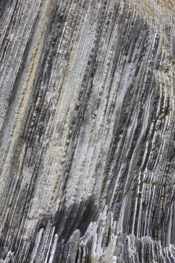Zumaia, Euskadi'de Flysch dramatik kaya oluşumu Cantabric deniz