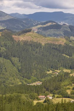 Orman ve dağlarla çevrili Bask kır vadisi. Spanis