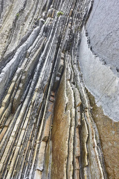 Flysch 戏剧性的岩层坎塔布里奇海岸线在祖马亚， 欧盟 — 图库照片