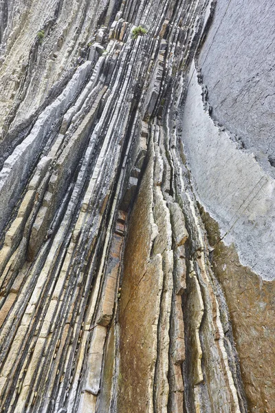 Flysch dramatiska klippformation Cantabric kusten i Zumaia, EU Royaltyfria Stockfoton