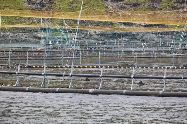 法罗群岛峡湾的鲑鱼渔场池。水产 养殖 — 图库照片