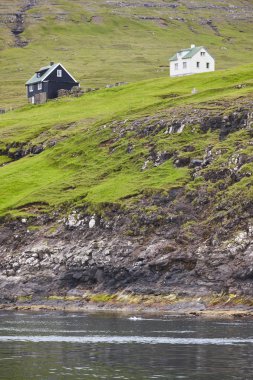 Geleneksel resim ile Kayalık kıyı şeridi faroese yeşil manzara