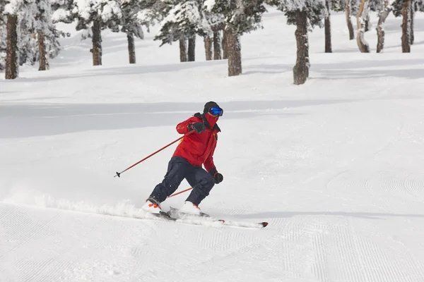 Ski sur un beau paysage de forêt de neige. Sport d'hiver — Photo