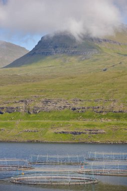 Faroe adaları fiyortlarda somon balıkçıçiftlik havuzları. Su ürünleri yetiştiriciliği