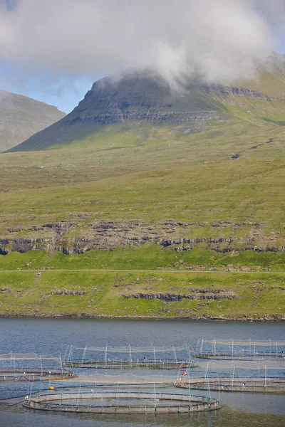 Pesca al salmone piscine fattoria nelle isole Faroe fiordi. Acquacoltura — Foto Stock