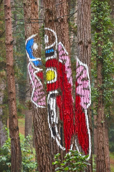 Farbenfroher grüner Kiefernwald in Euskadi. oma, spanien — Stockfoto