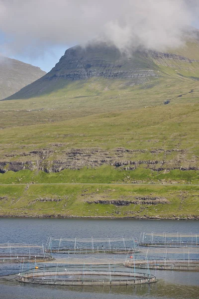 Salmon fishing farm pools in Faroe islands fjords. Aquaculture — Stock Photo, Image