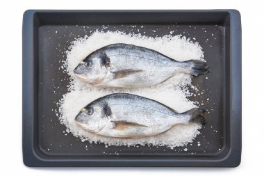 Tuzlu taze Gilthead balıkları ızgaraya hazır. Sağlıklı