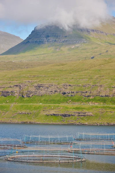 Salmon fishing farm pools in Faroe islands fjords. Aquaculture industry