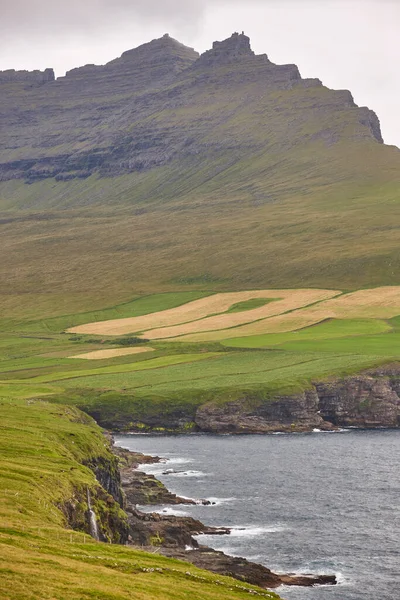 Faroe Adaları Sahil Şeridindeki Kayalıklar Vidoy Adasındaki Vidareidi Köyü — Stok fotoğraf