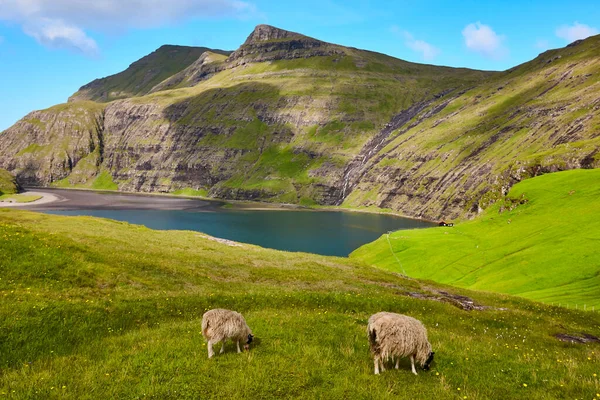 Malerische Grüne Landschaft Mit Holzhäusern Auf Den Färöer Inseln Saksun — Stockfoto