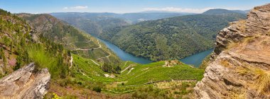 Ribeira Sacra teras üzüm bağları Galiçya, İspanya 'da panoramik manzara