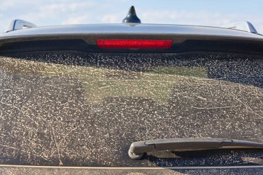 Arka camı tozla kaplı 4wd araç. Offroad sürücüsü