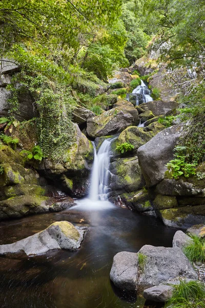 Selva Tropical Verde Atlántica Con Cascada Arroyo Galicia España — Foto de Stock