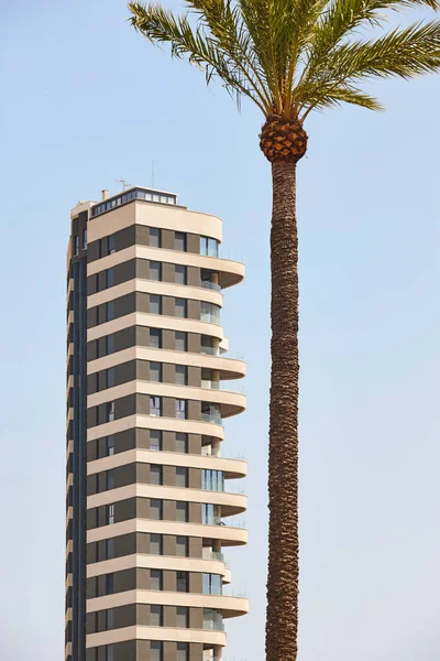 Siyahlı Palmiye Ağacı Olan Geometrik Bir Bina Spanya — Stok fotoğraf