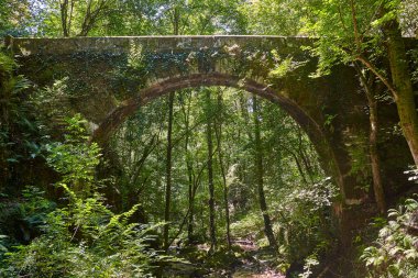 Doğa tarafından kuşatılmış antik taş köprü. Fragas Eume nehri. İspanya