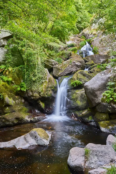 Selva Tropical Verde Atlántica Con Cascada Arroyo Galicia España — Foto de Stock