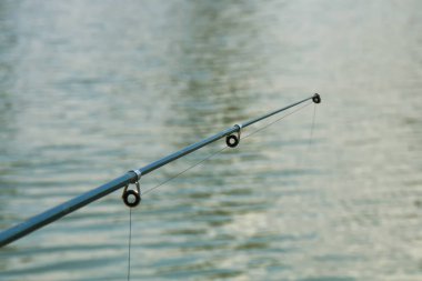 Olta yakın göl bulanık su arka plan, doğa yaşam ve hobi, zevk, açık dinlenme ile yukarıda büyük balıkların Balık tutma