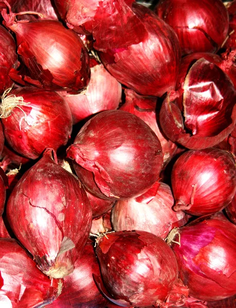 很多红洋葱组 红洋葱 是洋葱的品种 Cepa 略带紫色的红色皮肤和白色的果肉 带有红色 — 图库照片