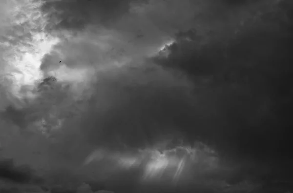 匈牙利上空的戏剧性天空 曝光不足 鸟儿在云层下飞翔 阳光从云层中飞过 — 图库照片