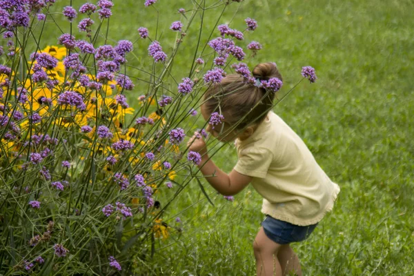 Deux Ans Jeune Fille Mignonne Sentant Les Fleurs Colorées Sur — Photo