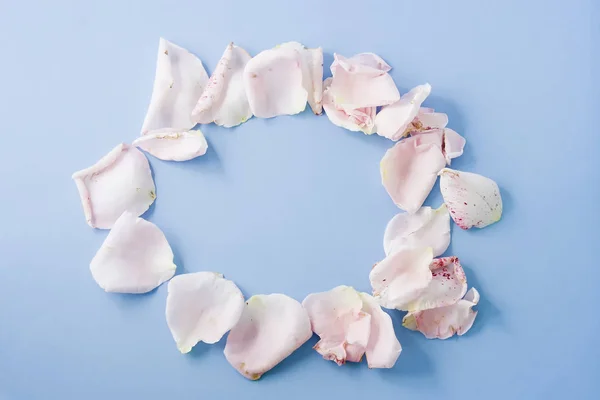 Bright rose petals placed in circle on a light blue pastel background in flat lay style.