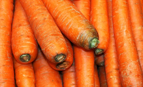 Група Моркві Продуктового Морква Одомашнених Форми Дикої Моркви Daucus Carota — стокове фото