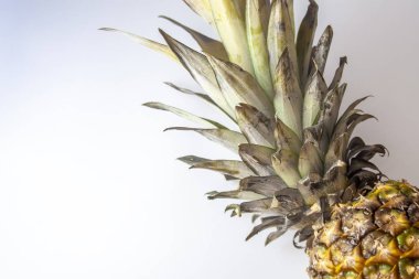 Tek ananas ananas beyaz arka plan üzerinde negatif, boşaltmak izole. Üstten görünüm, düz yatıyordu.