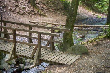 Ahşap köprü Nehri Dağın dibinde