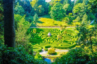 Park ağaçları arasında gizli bir bakış açısından görülen bir labirent formu ile. Cornwall, İngiltere.