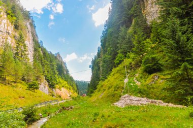 İki yeşil dağların kestiği toprak yol. Romanya dağların inanılmaz manzarası.