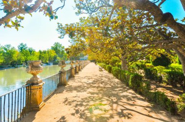 Nehrin bir tarafta ağaçlarıyla çevrili güzel yolu.