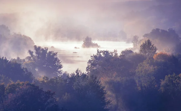 Blick Auf Die Insel Der Mitte Des Südlichen Bugs Nebliger — Stockfoto