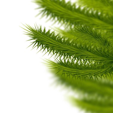 Noel ağacı arka planı