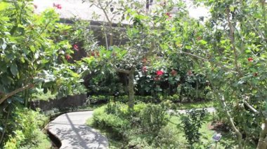 Kemenuh Bali Kelebek Parkı