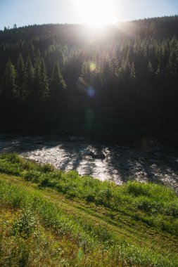 Güneş