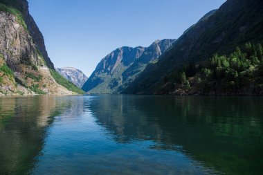 Neirofjord