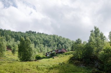 düşük açılı görünümü Flam (Aurlandsfjorden), Norveç dağlarında, Aurlandsfjord, yeşil bitkiler ve ahşap ev