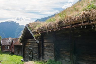ahşap çatı Flam Köyü, Aurlandsfjord, (Aurlandsfjorden), Norveç üzerinde büyüyen otlar ile yapı