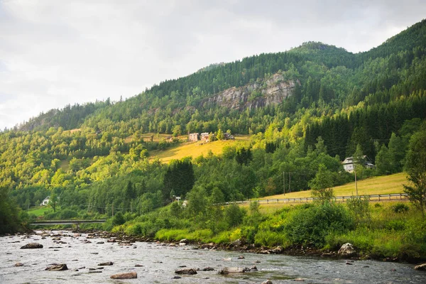 Groen — Stockfoto