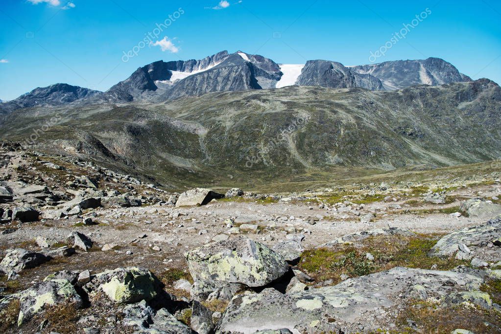 IrynaObertunBO