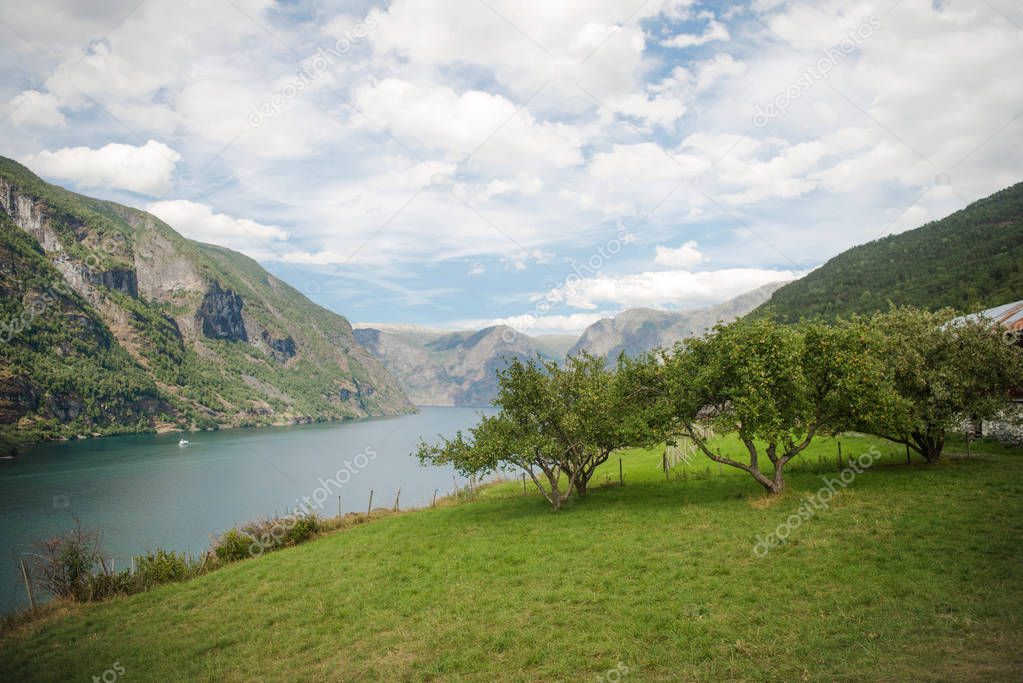 beautiful green trees and grass on coast of Aurlandsfjord in majestic mountains, Flam (Aurlandsfjorden), Norway