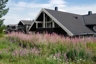 TRYSIL, NORWAY - 26 JULY 2018: violet lupine flowers and black living houses at largest ski resort Trysil in Norway  clipart