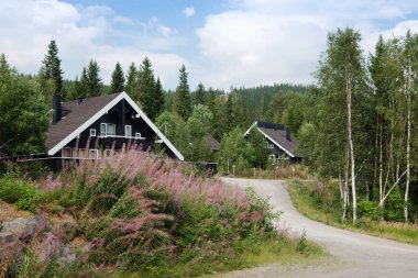 TRYSIL, NORWAY - 26 JULY 2018: black living houses near forest at largest ski resort Trysil in Norway clipart