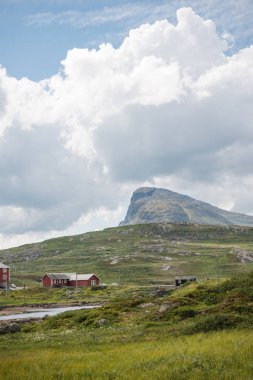 Mount