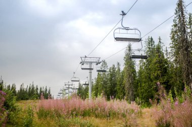 Teleferik acı bakla çiçekler, Trysil, Norveç'in en büyük Kayak Merkezi ile alanın üzerinde 